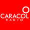 Caracol Radio Bogotá
        
          - AM 810
        
        
          - Bogota