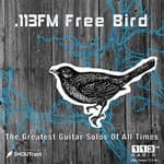 113FM Radio - Free Bird
