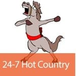 24/7 Niche Radio - 24-7 Hot Country