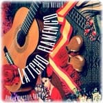 Latcho Flamenco' WebRadio