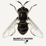 Barfly Radio