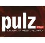 Pulz Fm