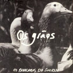 Os grãos