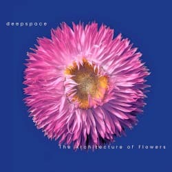The Architecture of Flowers
