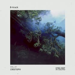 8‐track