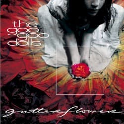 Gutterflower