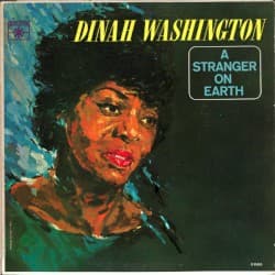A Stranger on Earth