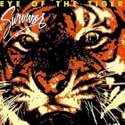 Eye of the Tiger