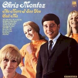 The More I See You/Call Me