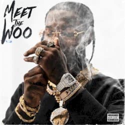 Meet the Woo 2