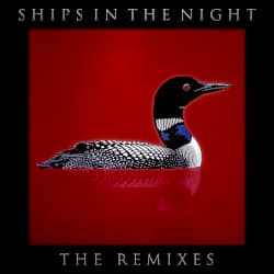 The Remixes