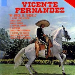 Mi amigo el tordillo