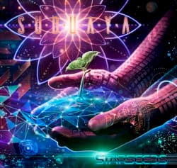 Starseeds
