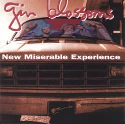 New Miserable Experience