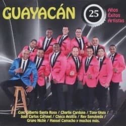 25 años 25 éxitos 25 artistas