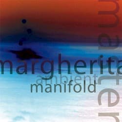 Ambient Manifold