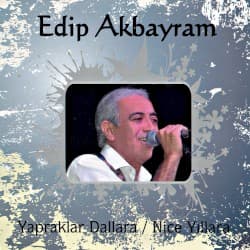 Yapraklara Dallara