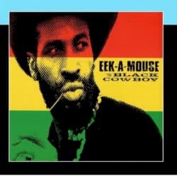 Black Cowboy