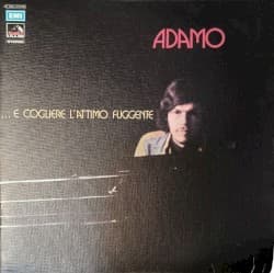 … E cogliere l’attimo fuggente