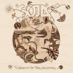 Beauty in the Acoustic