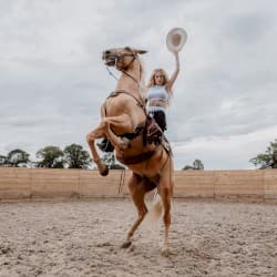 Emotional Rodeo