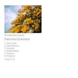 Suburban Quietness