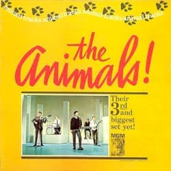 Animal Tracks