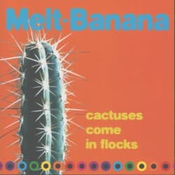 Cactuses Come in Flocks