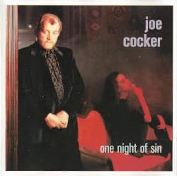 One Night of Sin