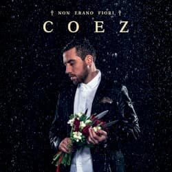 Non erano fiori