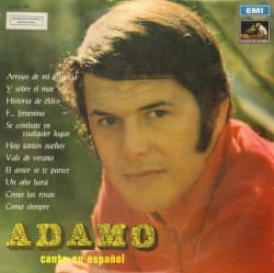 Canta en español