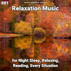 #01 Relaxation Music for Night Sleep, Relaxing, Reading, Every Situation