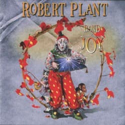 Band of Joy