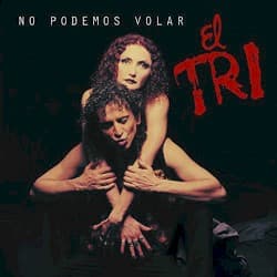 No podemos volar