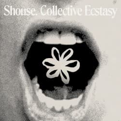 Collective Ecstasy