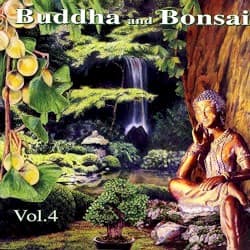 Buddha and Bonsai, Volume 4