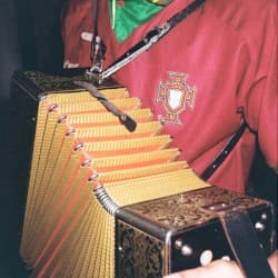 Trapalhadas