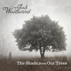 The Shade from Our Trees