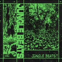 JUNGLE BEATS