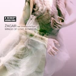 Wings of Love Remixes