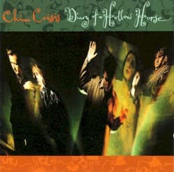 Diary of a Hollow Horse