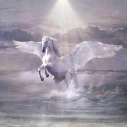 Sulle ali del cavallo bianco