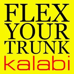 Flex Your Trunk