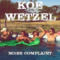 Noise Complaint