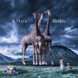 Kites Redux