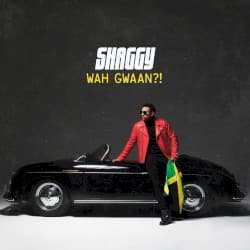 Wah Gwaan?!