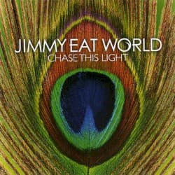 Chase This Light