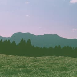Season of Wandering