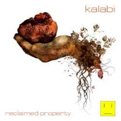 Reclaimed Property