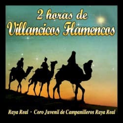 2 Horas de Villancicos Flamencos